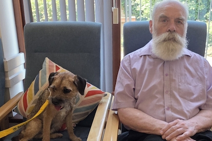 Therapy Pets and Horse Racing Games